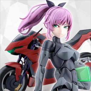 エミュレータ ライディングパッケージ